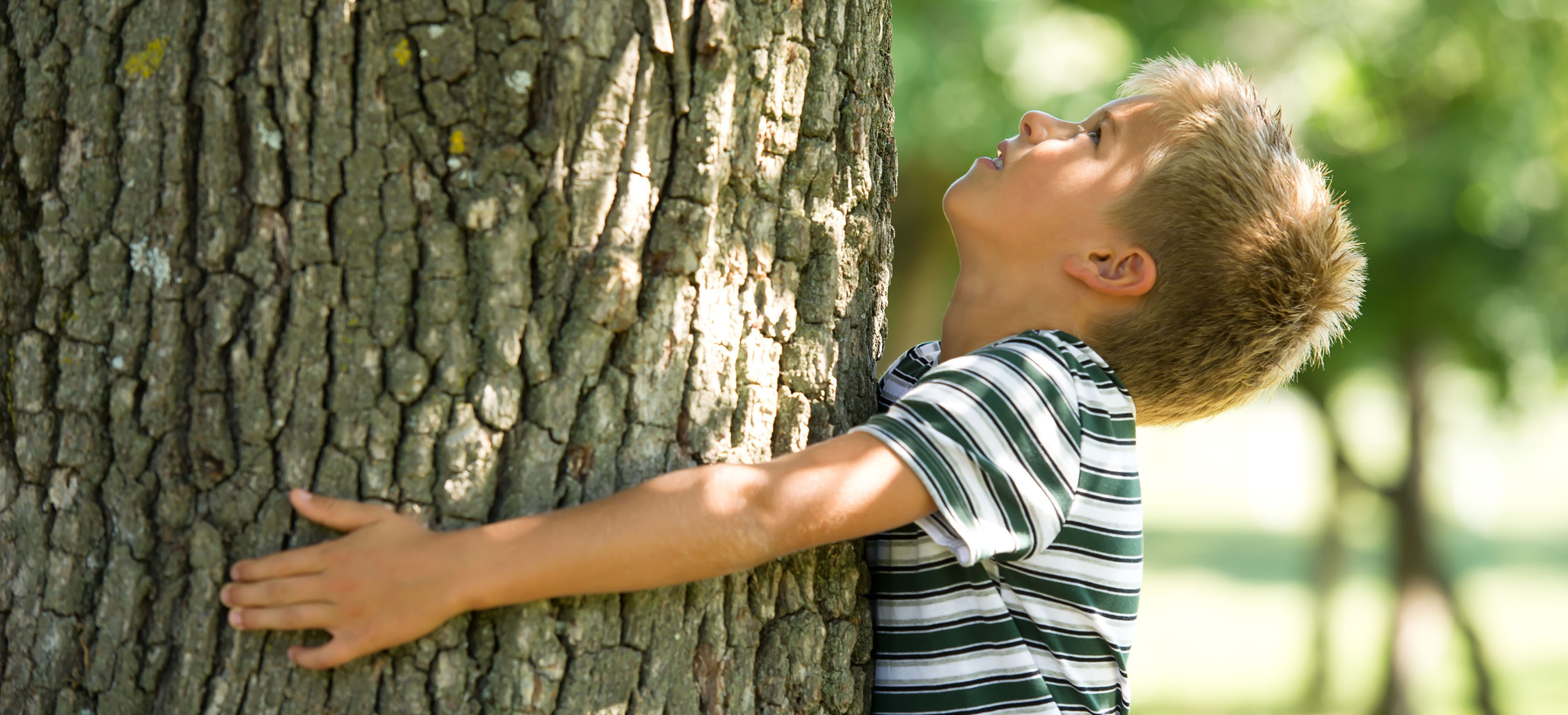 A child hugging a tree outdoors
